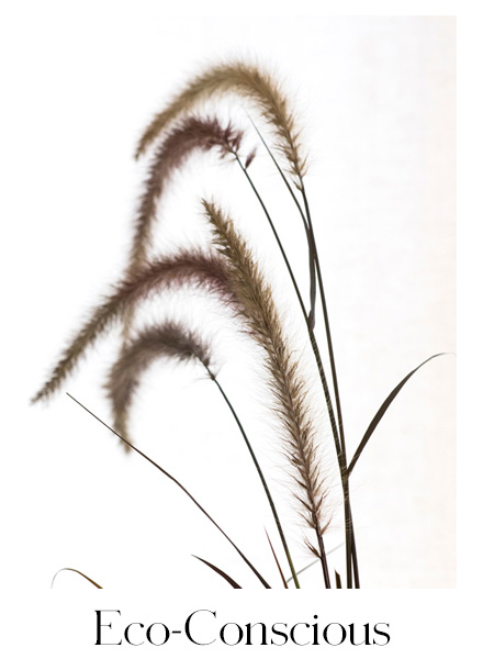 Eco-Conscious Brands