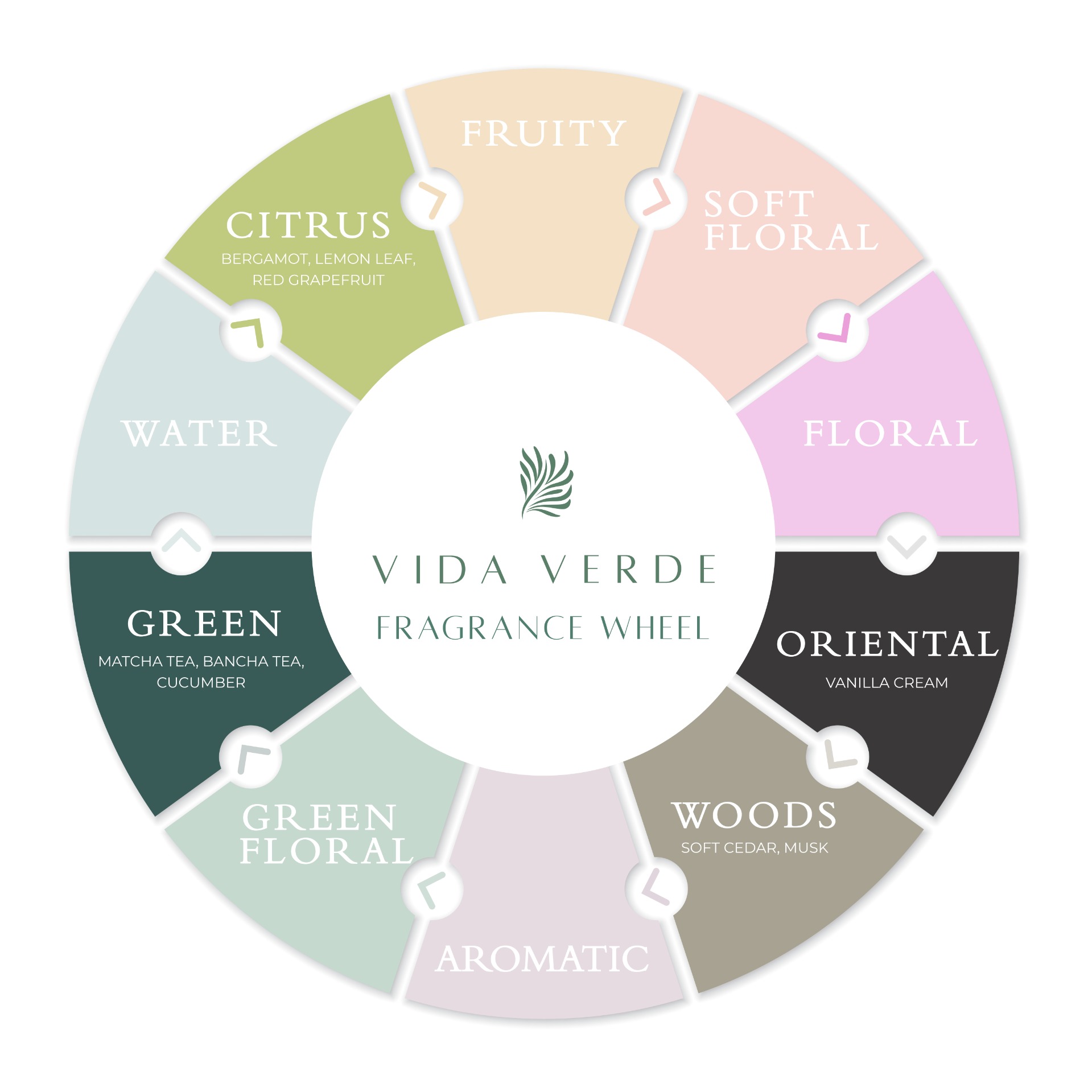 Vida Verde Fragrance